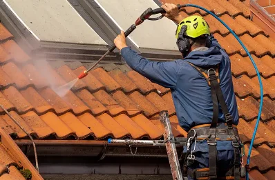 Démoussage et hydrofuge de toiture à Arue